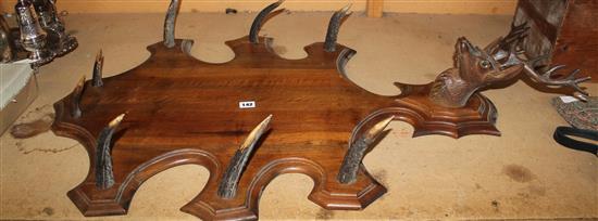 Black Forest walnut wall mounted hall rack